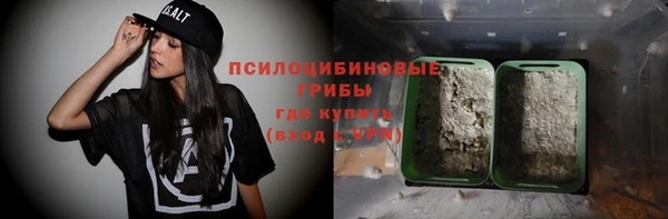 ГАЛЛЮЦИНОГЕННЫЕ ГРИБЫ Заводоуковск