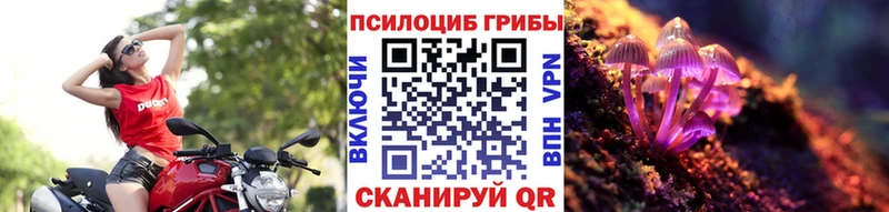 Галлюциногенные грибы Cubensis  Сретенск 