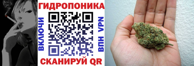 сколько стоит  Сретенск  Канабис OG Kush 